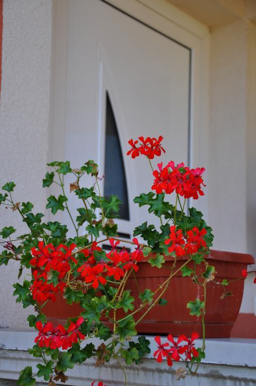 אופטיה Apartments Villa Anka חדר תמונה